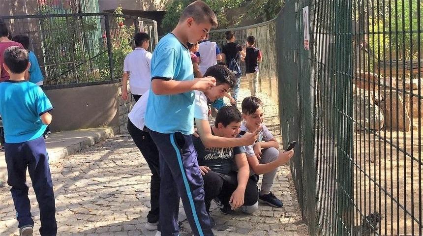 G&uuml;reş&ccedil;iler Hayvanat Bah&ccedil;esini Ziyaret Etti