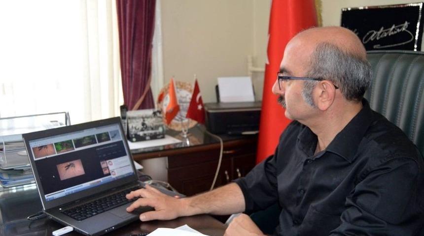 Trakya&rsquo;da Asya Kaplanı Alarmı