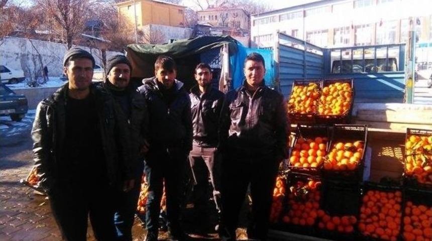 Ocak Ayında G&uuml;neşin Tadını &Ccedil;ıkardılar