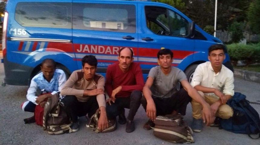 Jandarma&rsquo;dan M&uuml;lteci Operasyonu