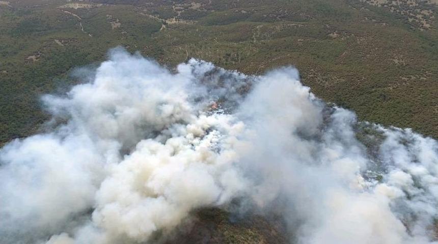 Eskişehir&rsquo;de Orman Yangını