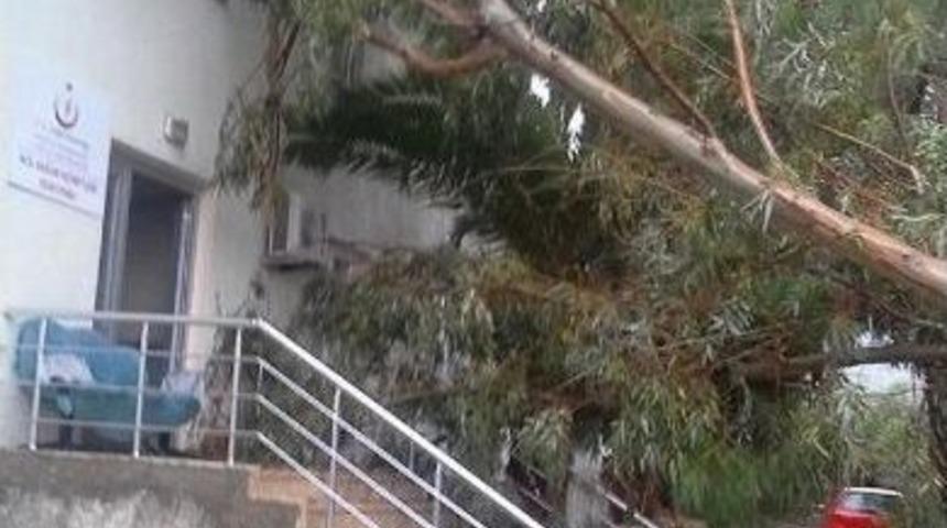 Marmaris&rsquo;te 112 İstasyonu&rsquo;na Ağa&ccedil; Devrildi