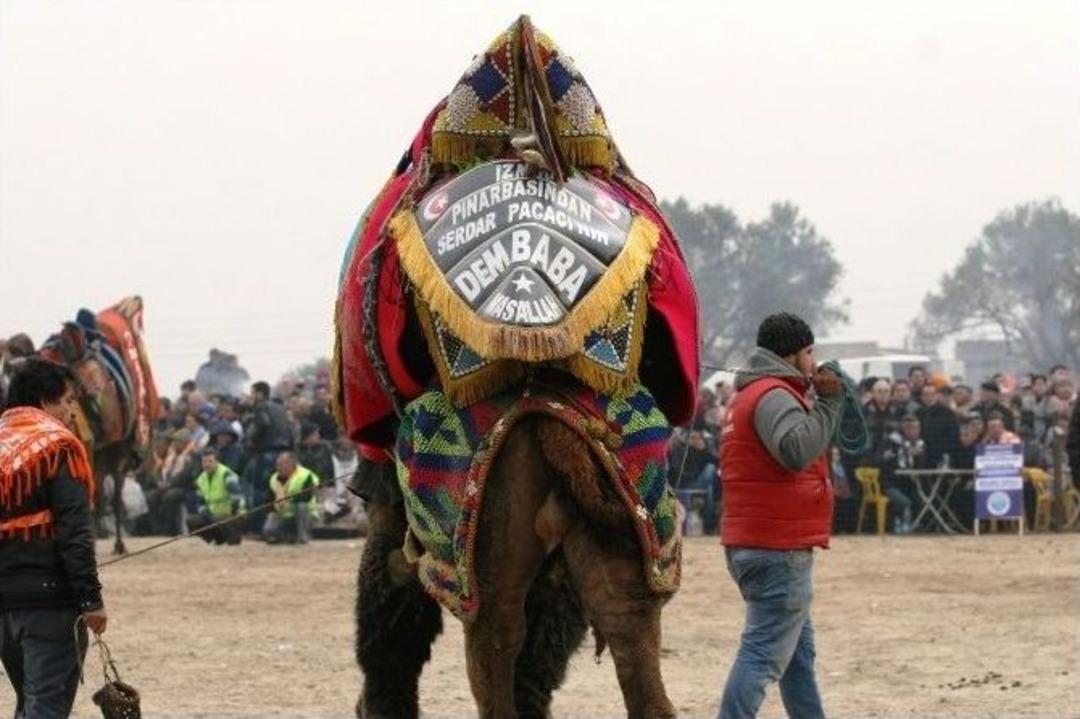 Demba Ba Arenada Boy G&ouml;sterdi