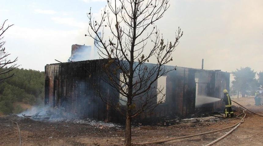 Yangının Ormana Sı&ccedil;raması &Ouml;nlendi.