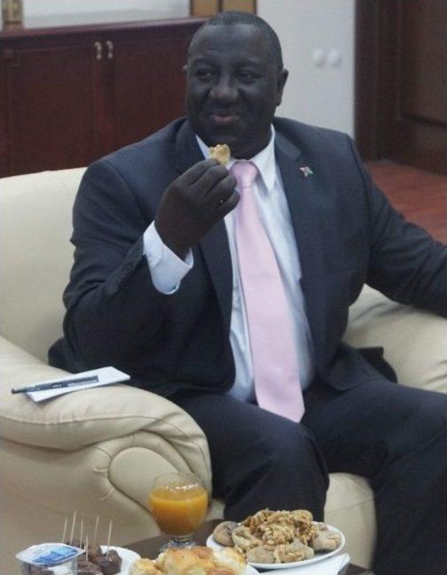 Gambiya&rsquo;nın Verimli Toprakları Aydınlı Yarıtımcıları Bekliyor 2