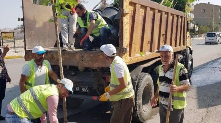 Yeni Yollar Ağa&ccedil;larla Donatıldı