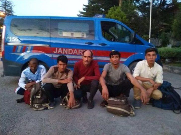 Yolcu Otobüsünde 5 Kaçak Göçmen Yakalandı