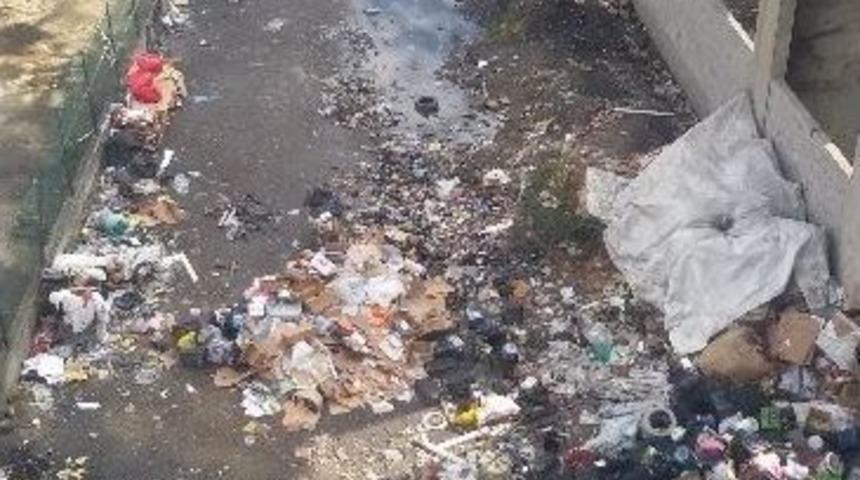 &Ccedil;&ouml;p Şehir Zonguldak