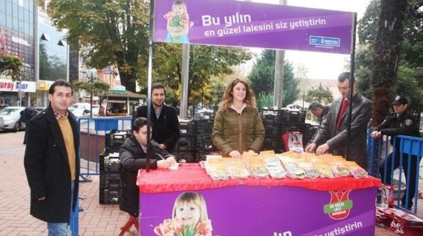Lale Soğanı Satışları Sona Eriyor