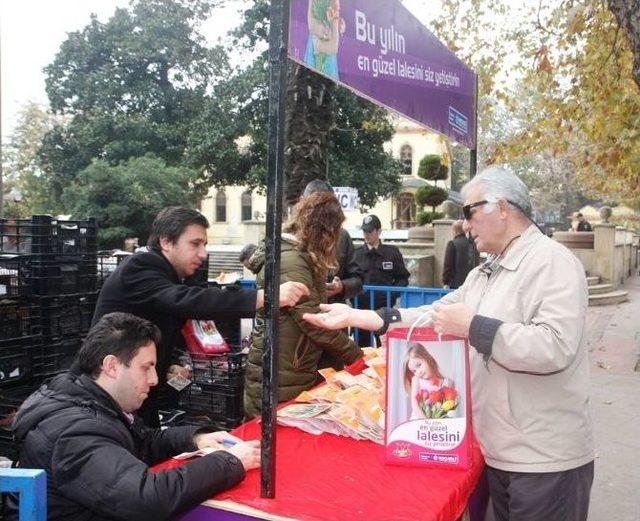 Lale Soğanı Satışları Sona Eriyor