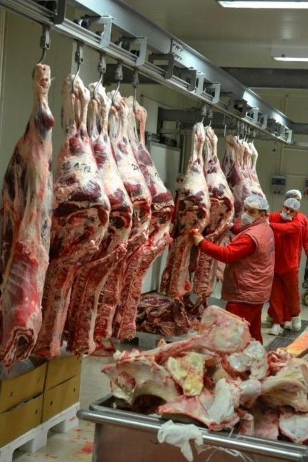 Et Fiyatlarını Kasaplık İthal Hayvan D&uuml;ş&uuml;r&uuml;r