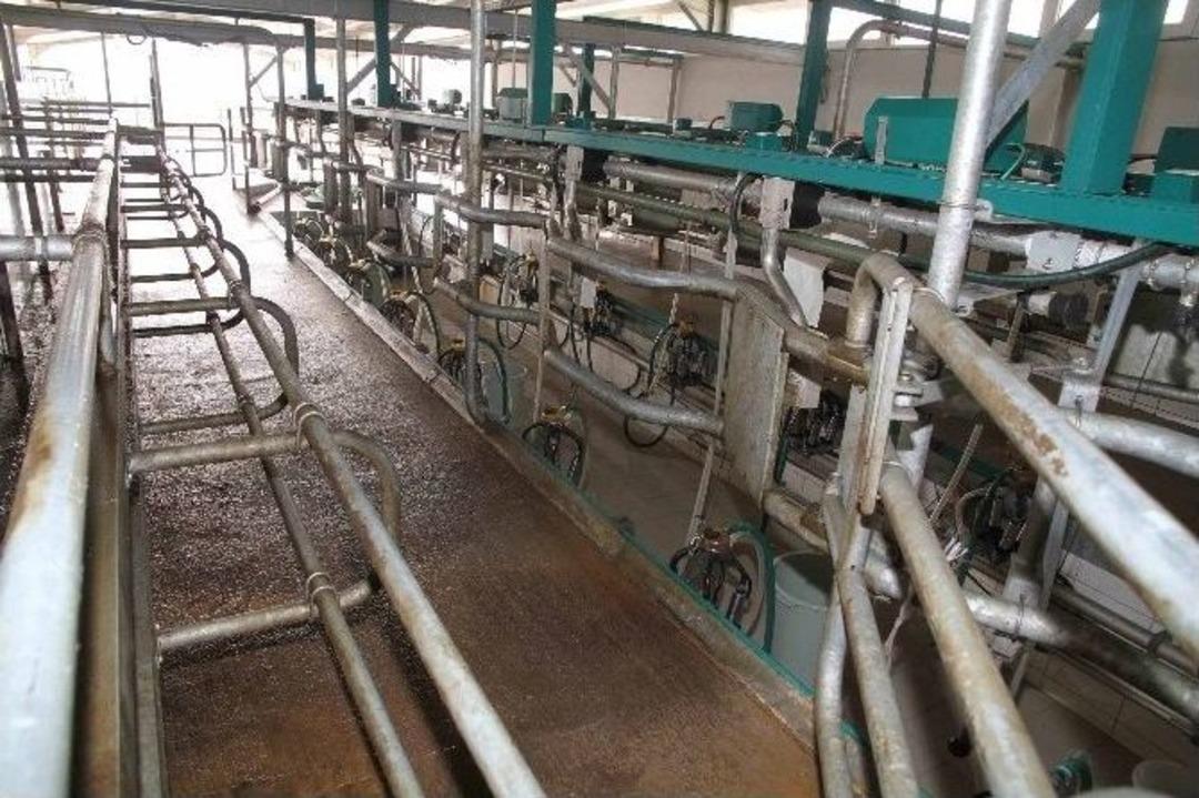 B&uuml;y&uuml;kşehir, Hayvancılığın &Ouml;n&uuml;n&uuml; A&ccedil;ıyor