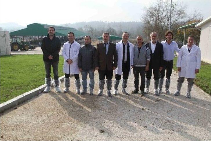 Büyükşehir, Hayvancılığın Önünü Açıyor G1