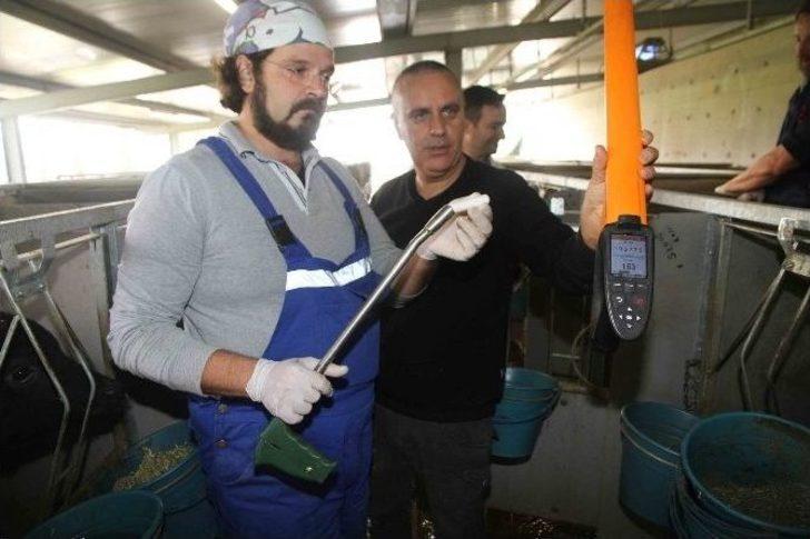 Büyükşehir, Hayvancılığın Önünü Açıyor G4