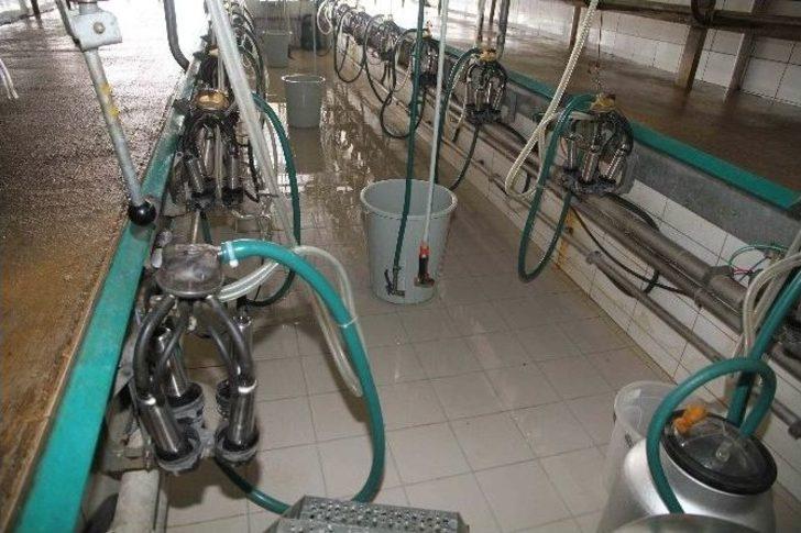 Büyükşehir, Hayvancılığın Önünü Açıyor G5