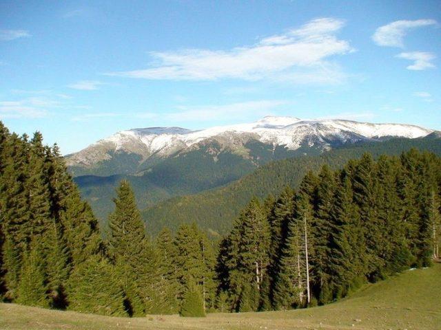 T&uuml;rkiye&rsquo;nin 222. Tabiat Parkı Giresun&rsquo;daki Ayma&ccedil; Parkı Oldu 1