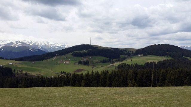 T&uuml;rkiye&rsquo;nin 222. Tabiat Parkı Giresun&rsquo;daki Ayma&ccedil; Parkı Oldu 2