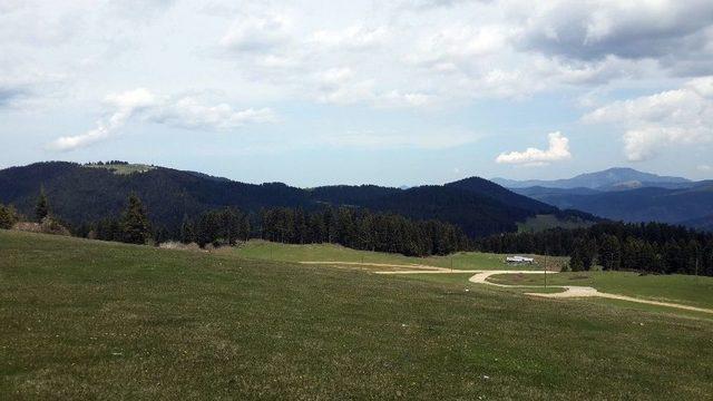 T&uuml;rkiye&rsquo;nin 222. Tabiat Parkı Giresun&rsquo;daki Ayma&ccedil; Parkı Oldu 3