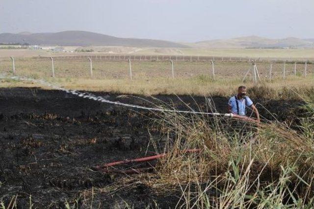 Mogan'da 201 Kuş Türünün Barındığı Sazlık Alanda Yangın (2)