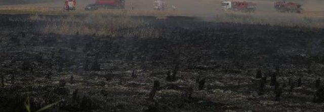 Mogan'da 201 Kuş Türünün Barındığı Sazlık Alanda Yangın (2)