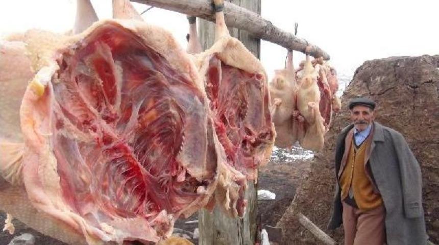 KARS'TA KAZ KESİMİ BAŞLADI