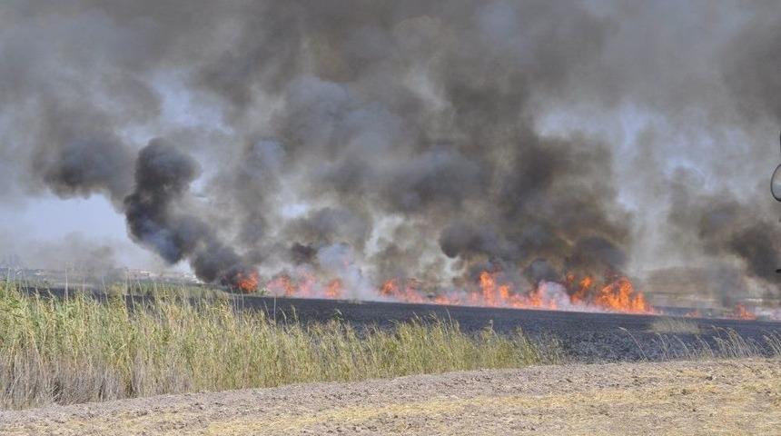 Mogan G&ouml;l&uuml;&rsquo;nde Sazlık Alanlar Yandı
