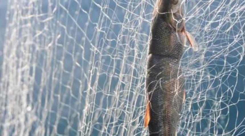 VAN G&Ouml;L&Uuml;'NDEKİ BALIK&Ccedil;ILAR BALIK HALİ İSTİYOR