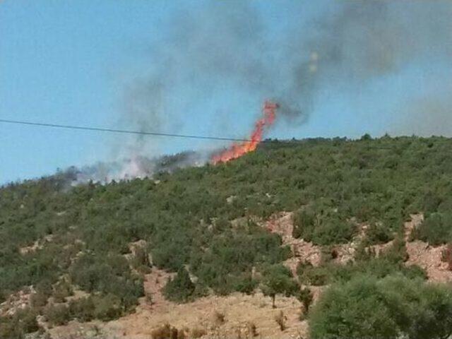 Isparta'da Orman Yangını