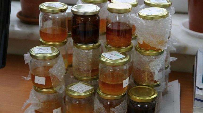 Merkezi Araştırma Laboratuarı Bal Analizi Yapıyor