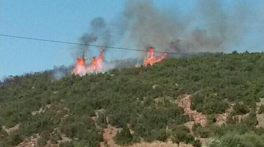 Isparta&rsquo;da Orman Yangını