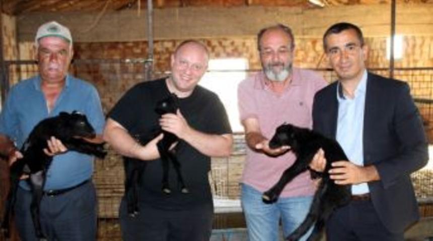 &Uuml;nl&uuml; Aş&ccedil;ıdan Romanov &Ccedil;iftliğine Ziyaret