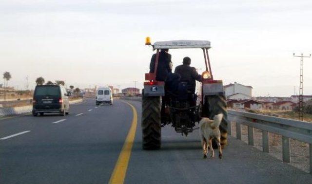 KAYBOLAN K&Ouml;PEĞİNİ, ZİNCİRLE TRAKT&Ouml;R&Uuml;N ARKASINA BAĞLAYIP G&Ouml;T&Uuml;RD&Uuml; 1