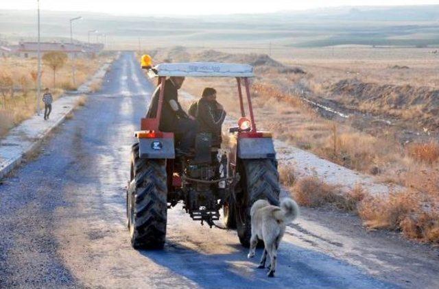 KAYBOLAN K&Ouml;PEĞİNİ, ZİNCİRLE TRAKT&Ouml;R&Uuml;N ARKASINA BAĞLAYIP G&Ouml;T&Uuml;RD&Uuml; 3