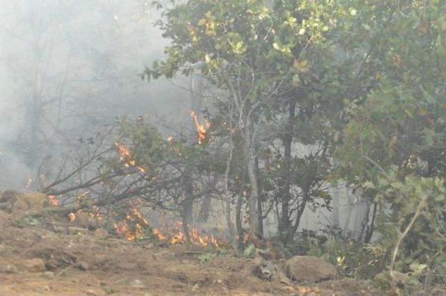 Eskişehir'de Orman Yangını (2)