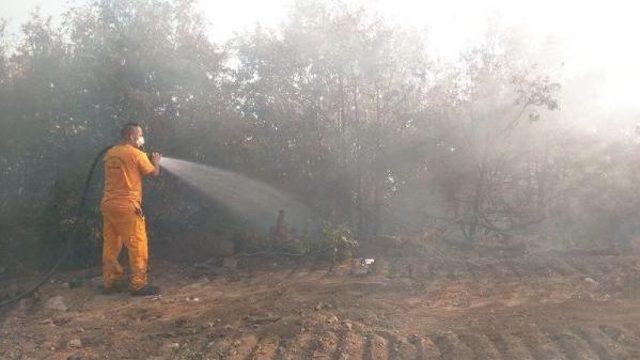 Eskişehir'de Orman Yangını (2)