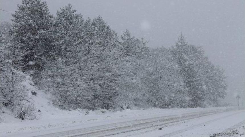 Ilgaz Dağında, Kar Yağışı Başladı