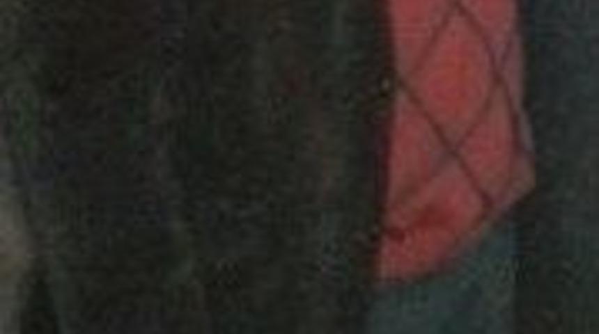 Minibüs Plakasından Milyonerliğe