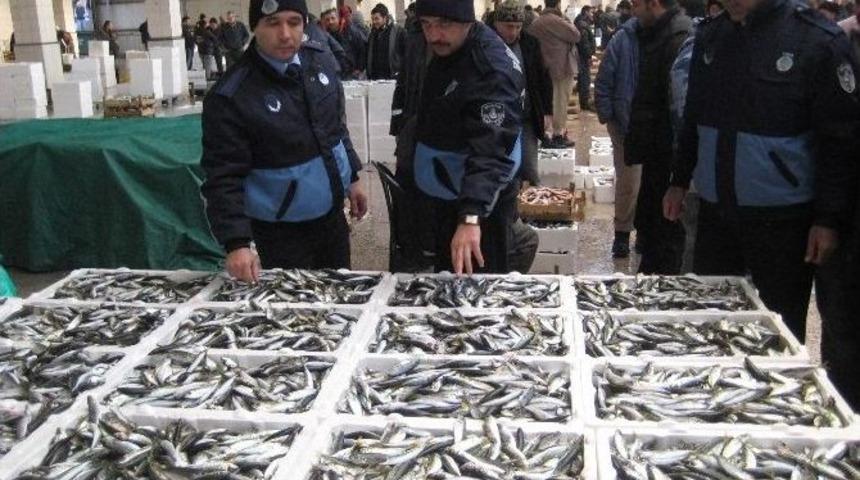 Zabıta Ekipleri Balık Denetiminde