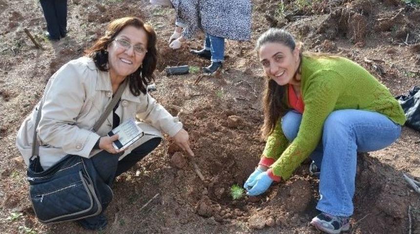 Busmek Kursiyerleri Fidan Dikti