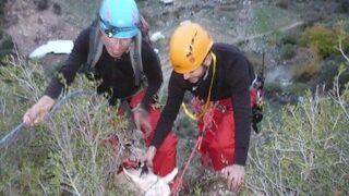 Her Şey İki Keçi İçin