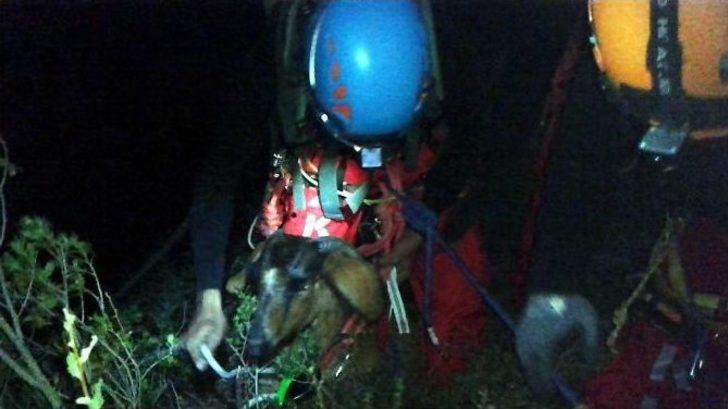 Her Şey İki Keçi İçin G3