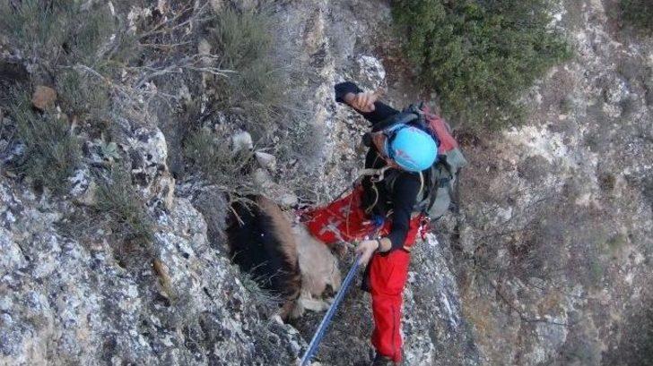 Her Şey İki Keçi İçin G4