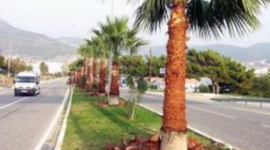 Mersin B&uuml;y&uuml;kşehir Belediyesi Aydıncık&rsquo;ı Renklendiriyor