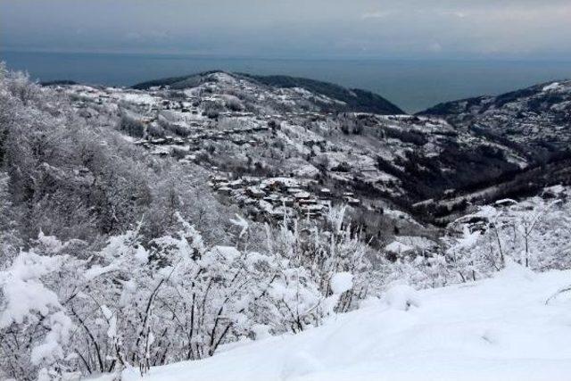 Zonguldak’Ta Kar Ulaşımı Aksattı