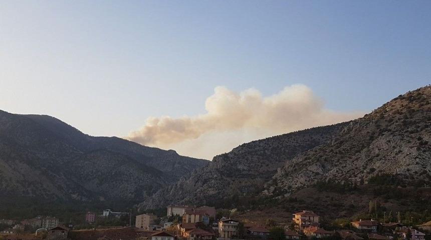 Nallıhan&rsquo;da Orman Yangını