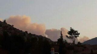 Nallıhan'da Orman Yangını