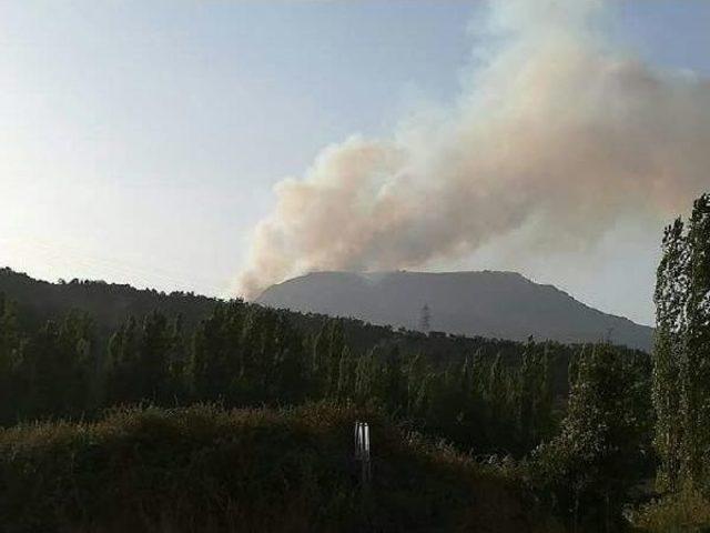 Nallıhan'da Orman Yangını