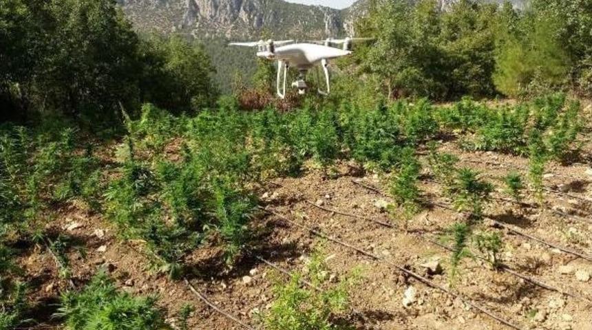 Jandarmadan 'drone'li Uyuşturucu Operasyonu