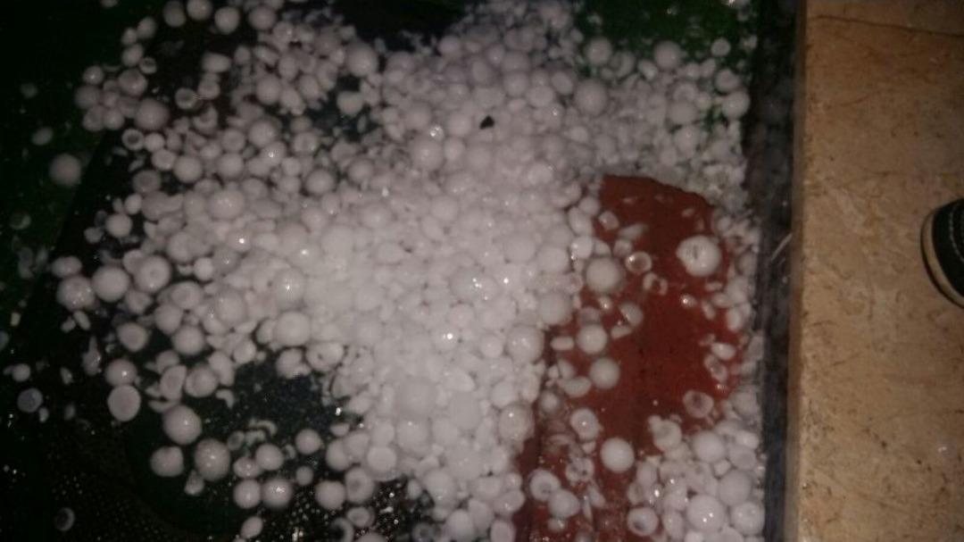 Sakarya&rsquo;da Ceviz B&uuml;y&uuml;kl&uuml;ğ&uuml;nde Dolu Yağdı