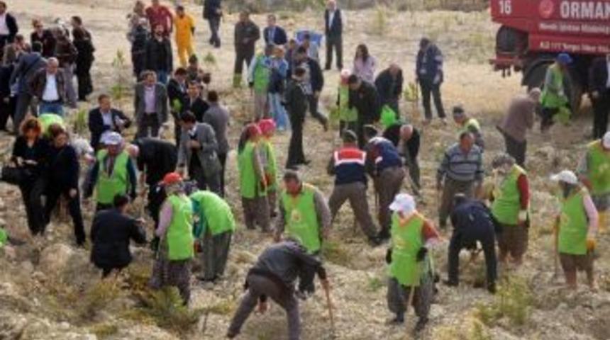 Evde Sigara İ&ccedil;imi Ani Bebek &Ouml;l&uuml;m Riskini 2,5 Kat Artırıyor